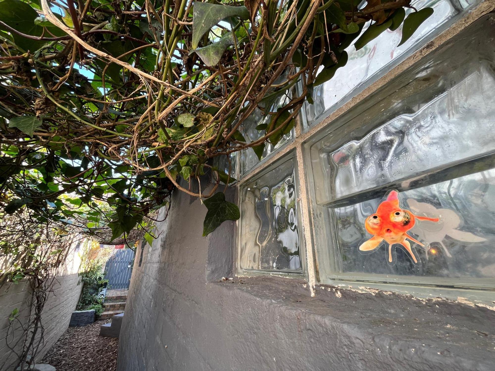Seaside Getaway @ Swallow House Suite #2 Cape Town Bagian luar foto